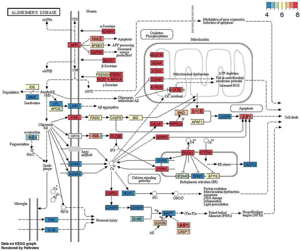 rna-seq