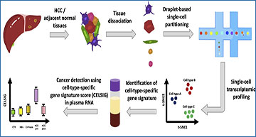 Single cell and plasma RNA sequencing for RNA liquid biopsy for ...