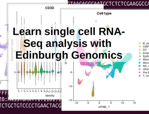 scRNA-Seq workshop 12th-13th September