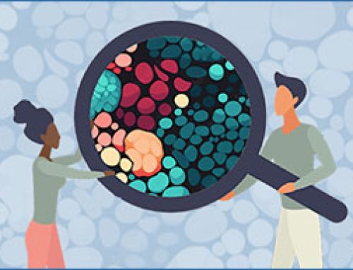 Intro to Single-Cell Analysis Workshop