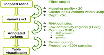 A refined variant calling pipeline on RNA-seq data of breast cancer ...