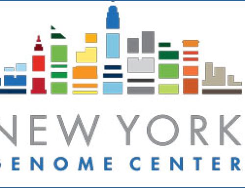 Senior Computational Biologist, Single Cell Genomics