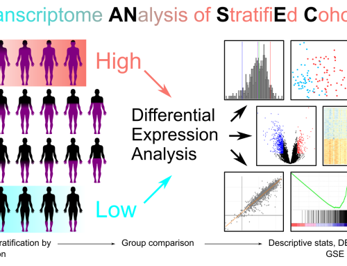 TRANSECT – TRanscriptome ANalysis of StratifiEd CohorTs