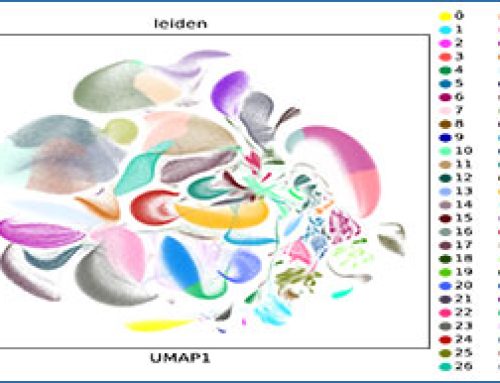 Webinar: Why Single Cell RNA Sequencing?