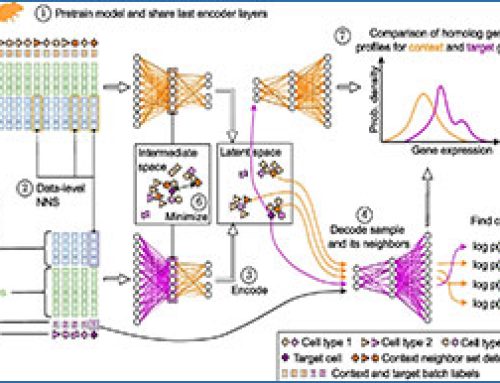 scSpecies – enhancement of network architecture alignment in comparative single-cell studies