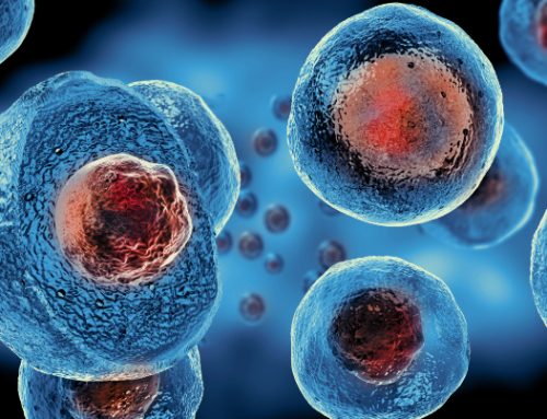 Single-Cell RNA-Seq Data Analysis: A Practical Introduction (March 23-25, 2026 in Berlin)