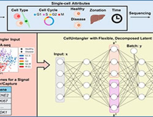 CellUntangler – separating distinct biological signals in single-cell data with deep generative models