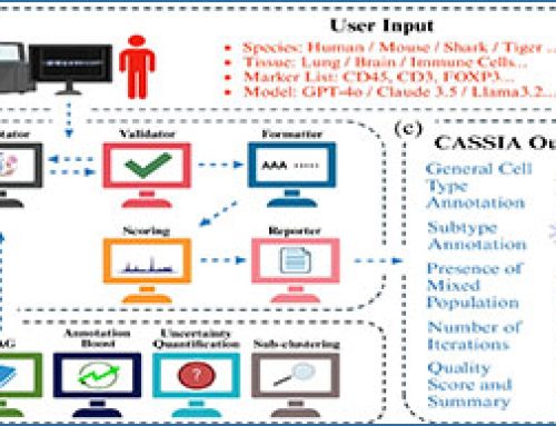 CASSIA – a multi-agent large language model for automated and interpretable cell annotation