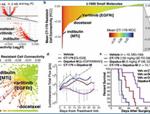 ISOSCELES – predicting glioblastoma drug response using single cell transcriptional states