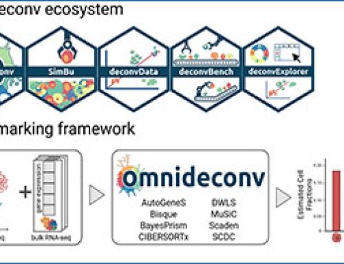 omnideconv – a unifying framework for using and benchmarking single-cell-informed deconvolution of bulk RNA-seq data