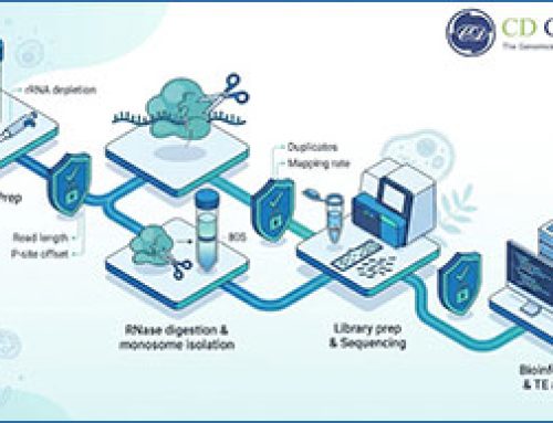 Ribo-seq Guide: Workflow, QC Metrics, Translational Efficiency, and Method Comparison
