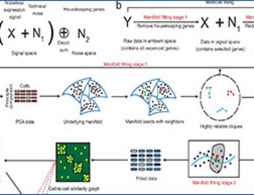 High-performance cell atlas workflow driven by manifold fitting