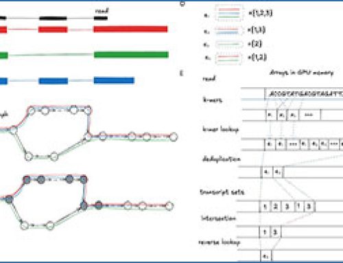 RNA-seq analysis in seconds using GPUs