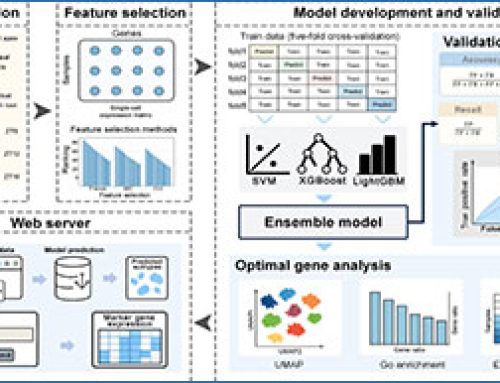 PhytoCell – an ensemble learning framework for identifying cell states in plant scRNA-seq data