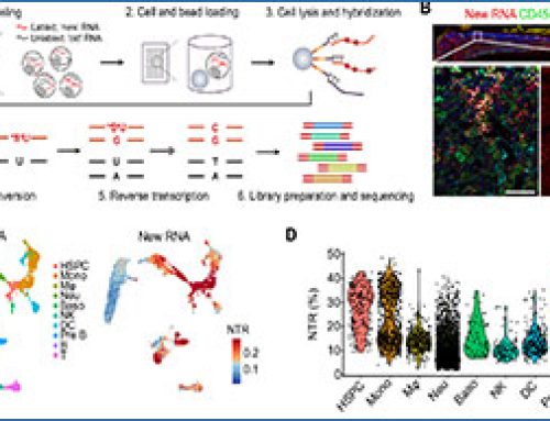 In vivo RNA sequencing reveals real-time immune response to infection