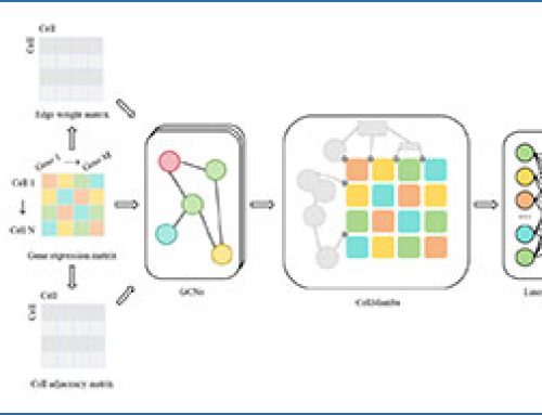 Graph AI and Mamba models improve single-cell RNA sequencing cell classification
