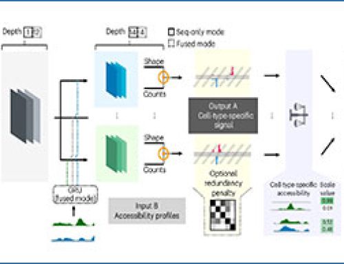DeepDETAILS – high-resolution reconstruction of cell-type-specific transcriptional regulatory processes from bulk sequencing samples