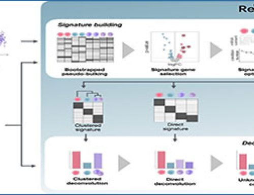 Rectangle – robust and scalable multiscale deconvolution informed by single-cell RNA sequencing data