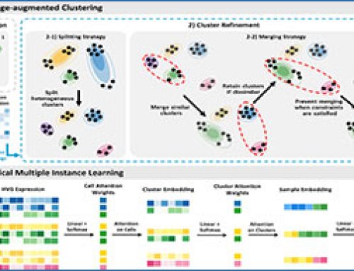 scCap – annotation-free phenotype prediction using knowledge-augmented clustering from single-cell RNA sequencing data