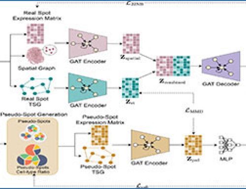 SPIDER improves spatial transcriptomics data using single-cell RNA sequencing
