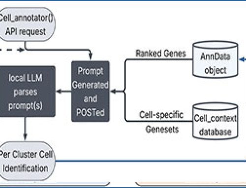 CellTypeAI – cell annotation for scRNA-seq using local generative-AI