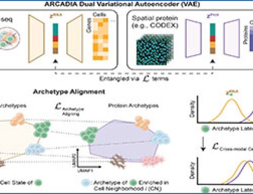 ARCADIA combines RNA sequencing and spatial proteomics to reveal how tissue location shapes cell behavior