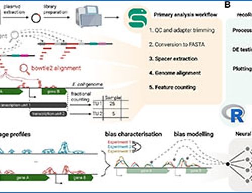 An end-to-end computational framework for “Record-seq” transcriptional recording data