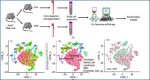 RNA-seq