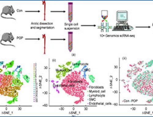 Dietary oxidized plant sterol shifts macrophage state to fuel aortic inflammation